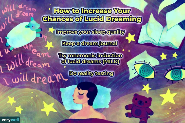 The Basics Of Dreaming And Lucid Dreaming