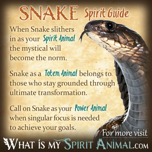 The Power Of Snake Symbolism