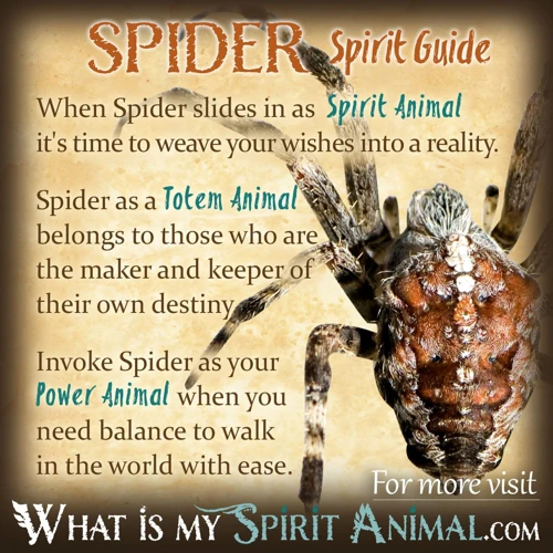 The Spiritual And Cultural Meaning Of Spiders In Dreams